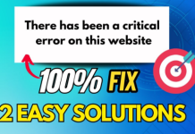 How to Fix There Has Been a Critical Error on This Website – 6 Quick Fixes Person fixing a broken website