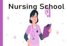 Nursing Study Buddy Journal Review Enhancing Nursing Education nursing notebook